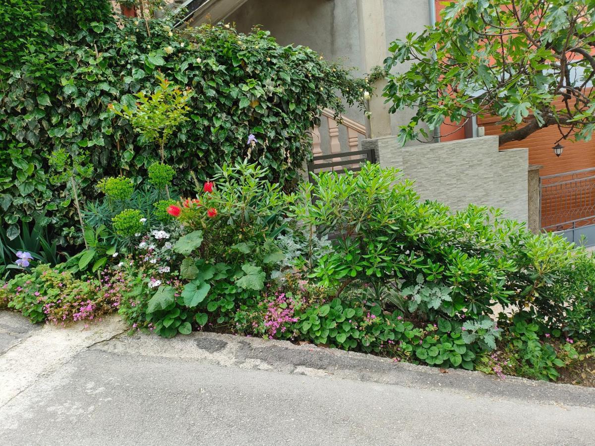 Studio Apartman Rea Kotor Exterior foto