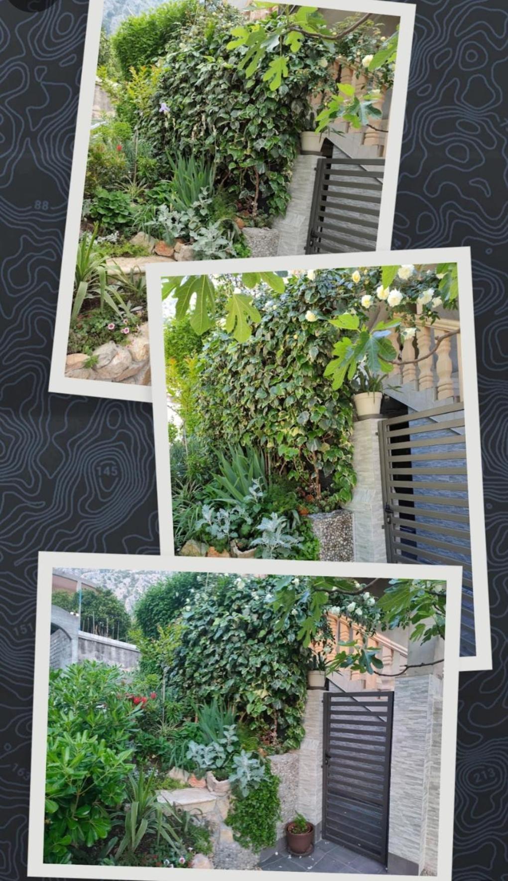Studio Apartman Rea Kotor Exterior foto
